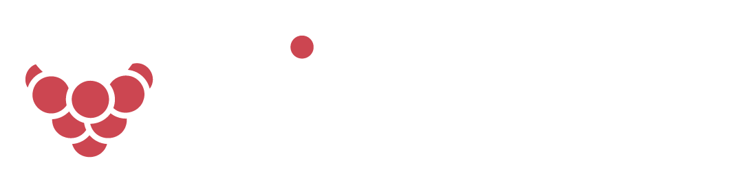 primesoft-logo